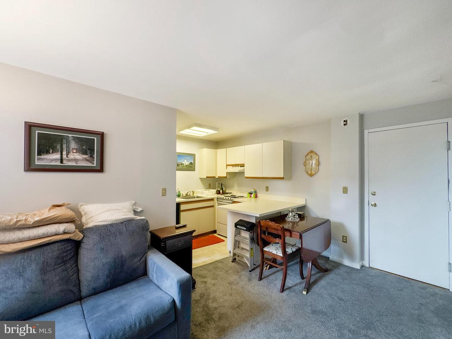 1001 Saint Paul Street #12j photo 10