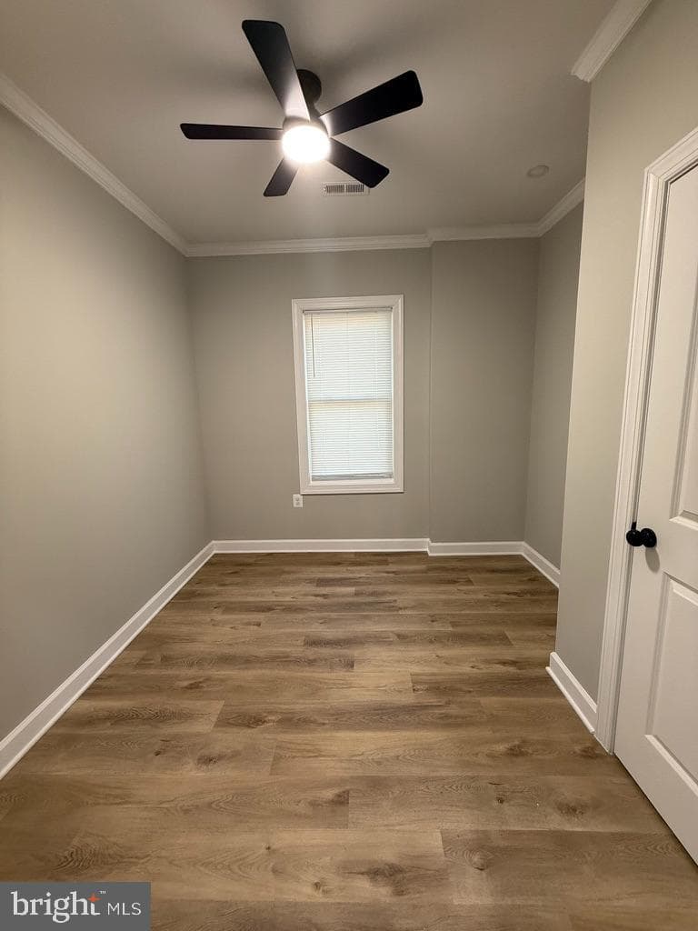 1604 Charlotte Avenue photo 13