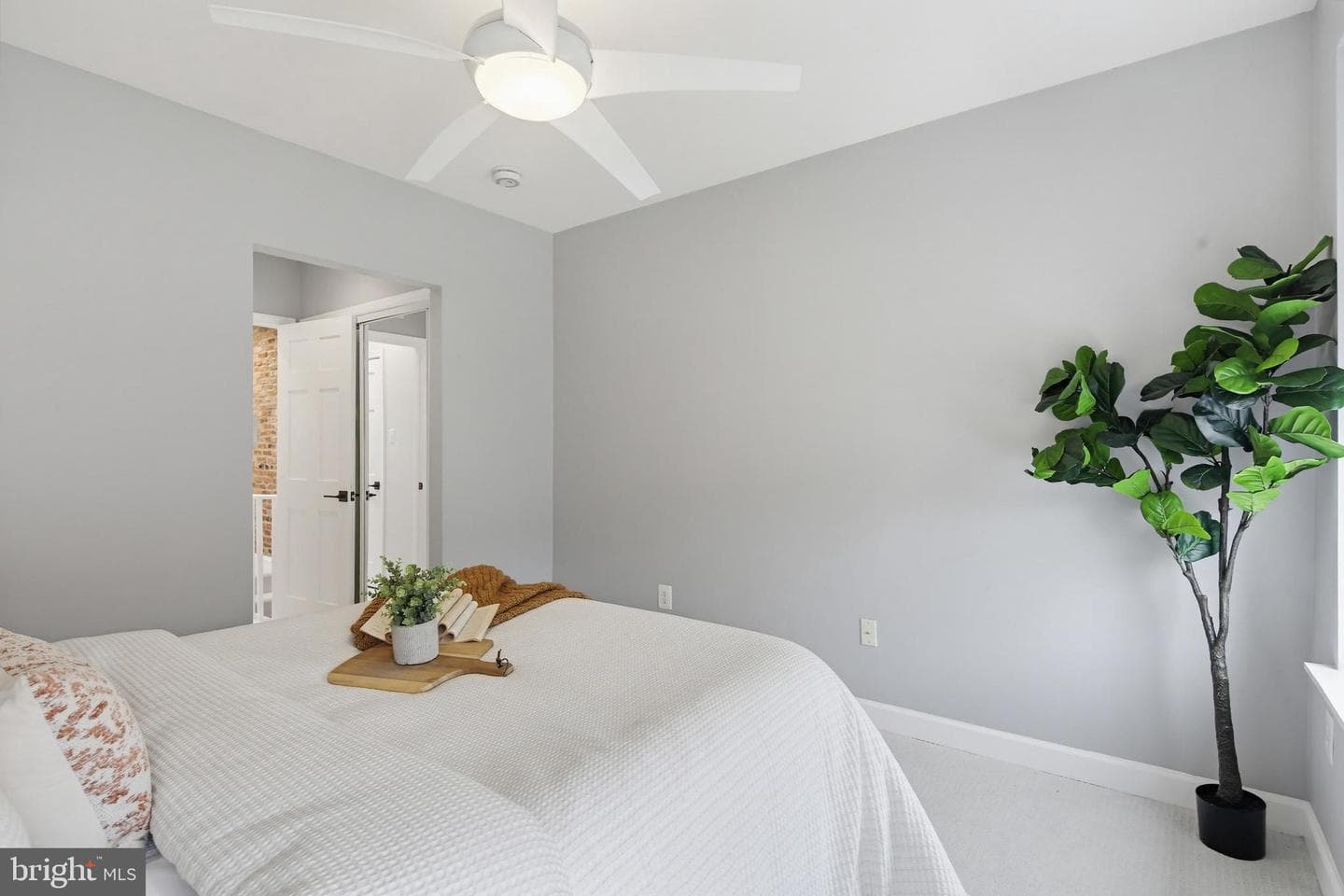 22 N Streeper Street photo 21