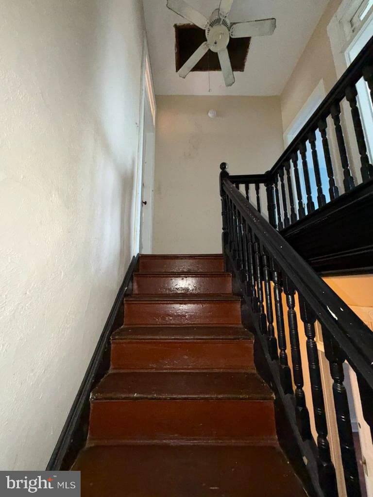 1703 Linden Avenue photo 36