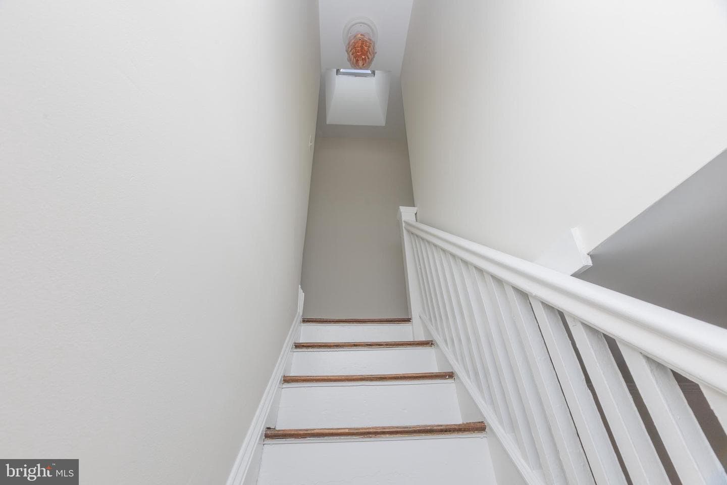 3659 Chestnut Avenue photo 10