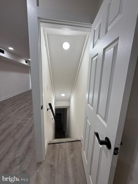 411 Furrow Street photo 16