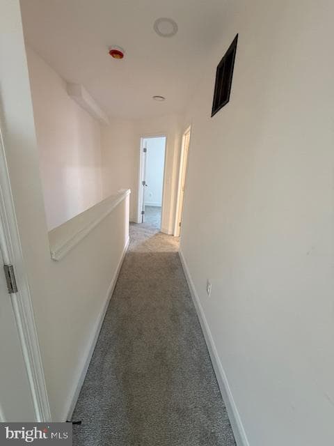 411 Furrow Street photo 33