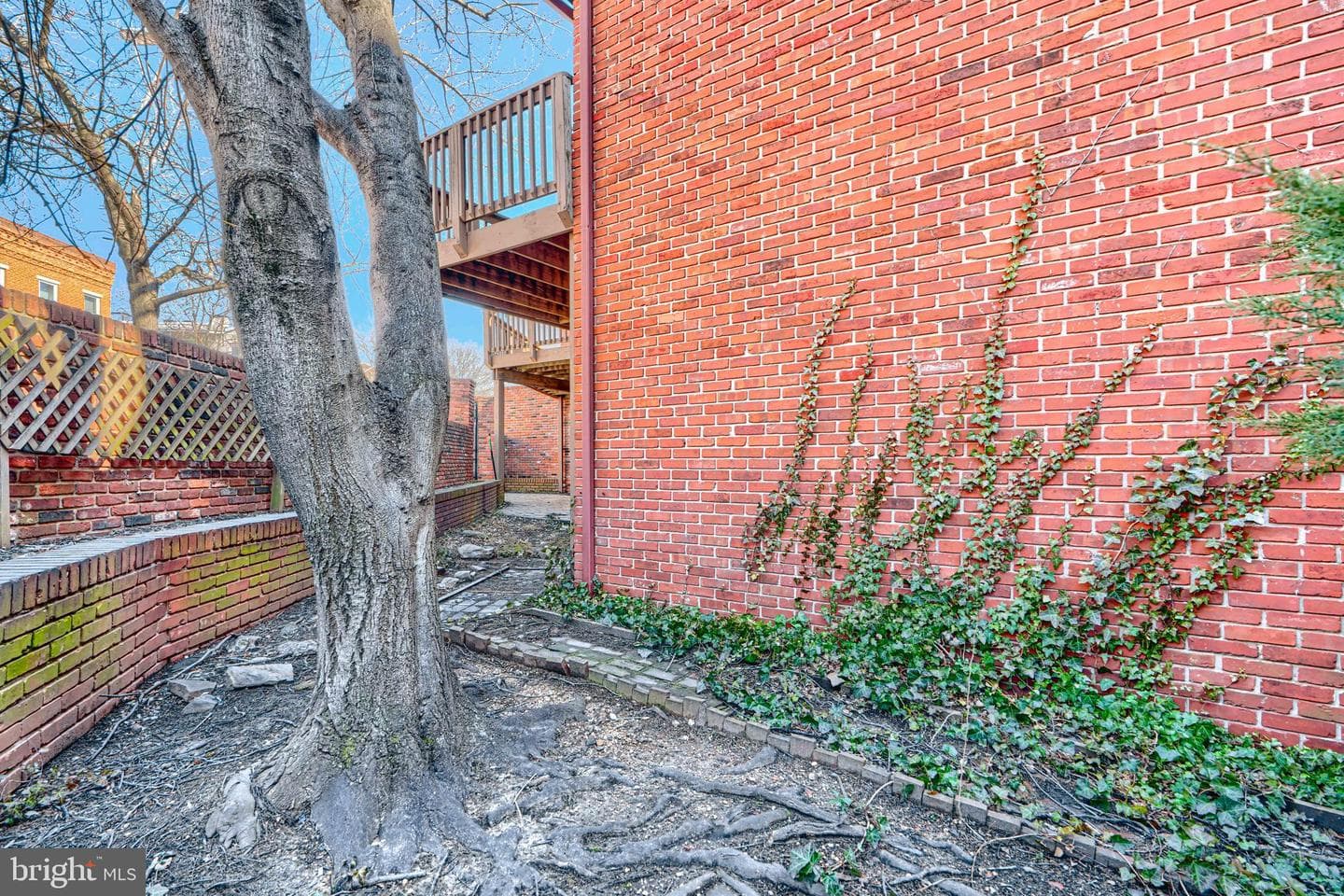 2102 Cambridge Street photo 37