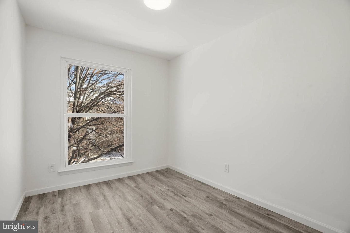 804 Arnold Court photo 10