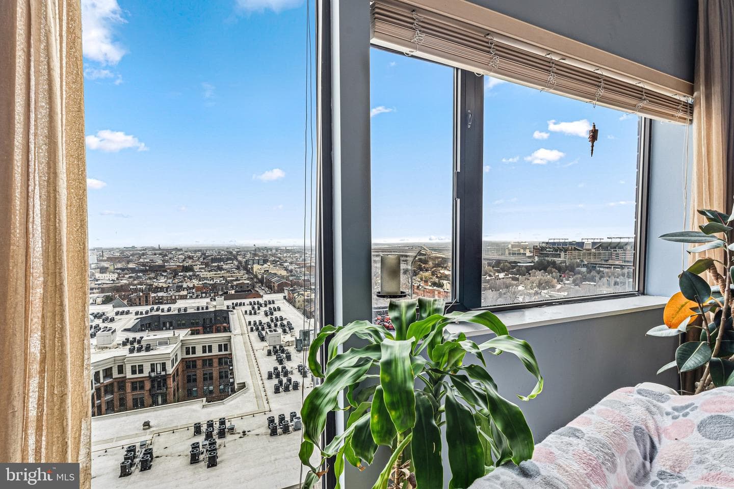 10 E Lee Street #1204 photo 3
