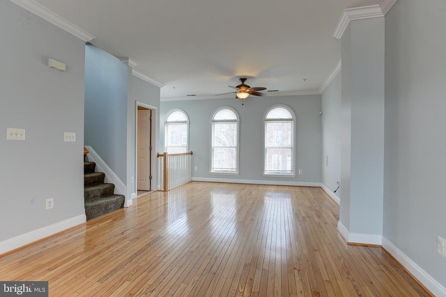 302 Scott Street photo 13