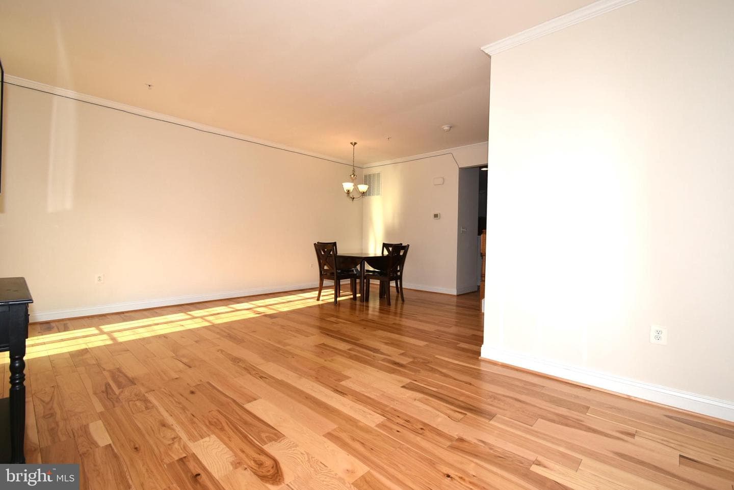 877 Ryan Street photo 31