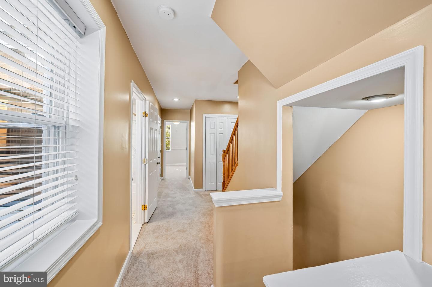 2314 Fleet Street photo 17