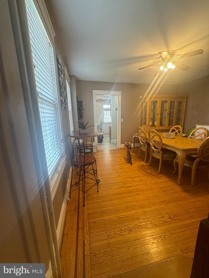 3123 Shannon Drive photo 10