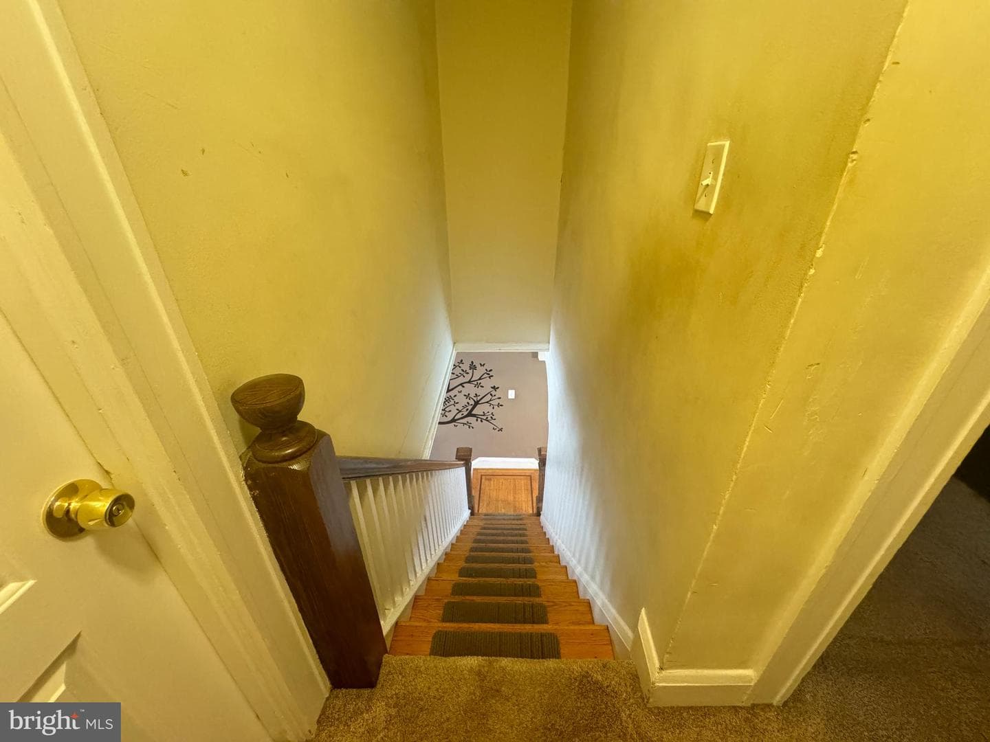 3123 Shannon Drive photo 35