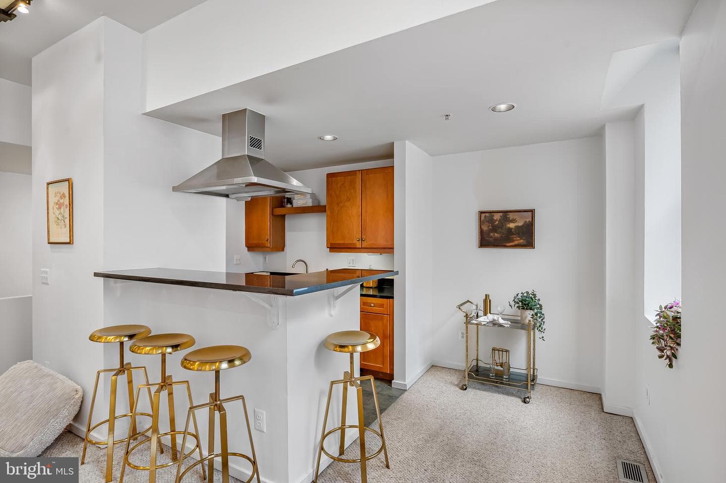 1211 Light Street #103 photo 5