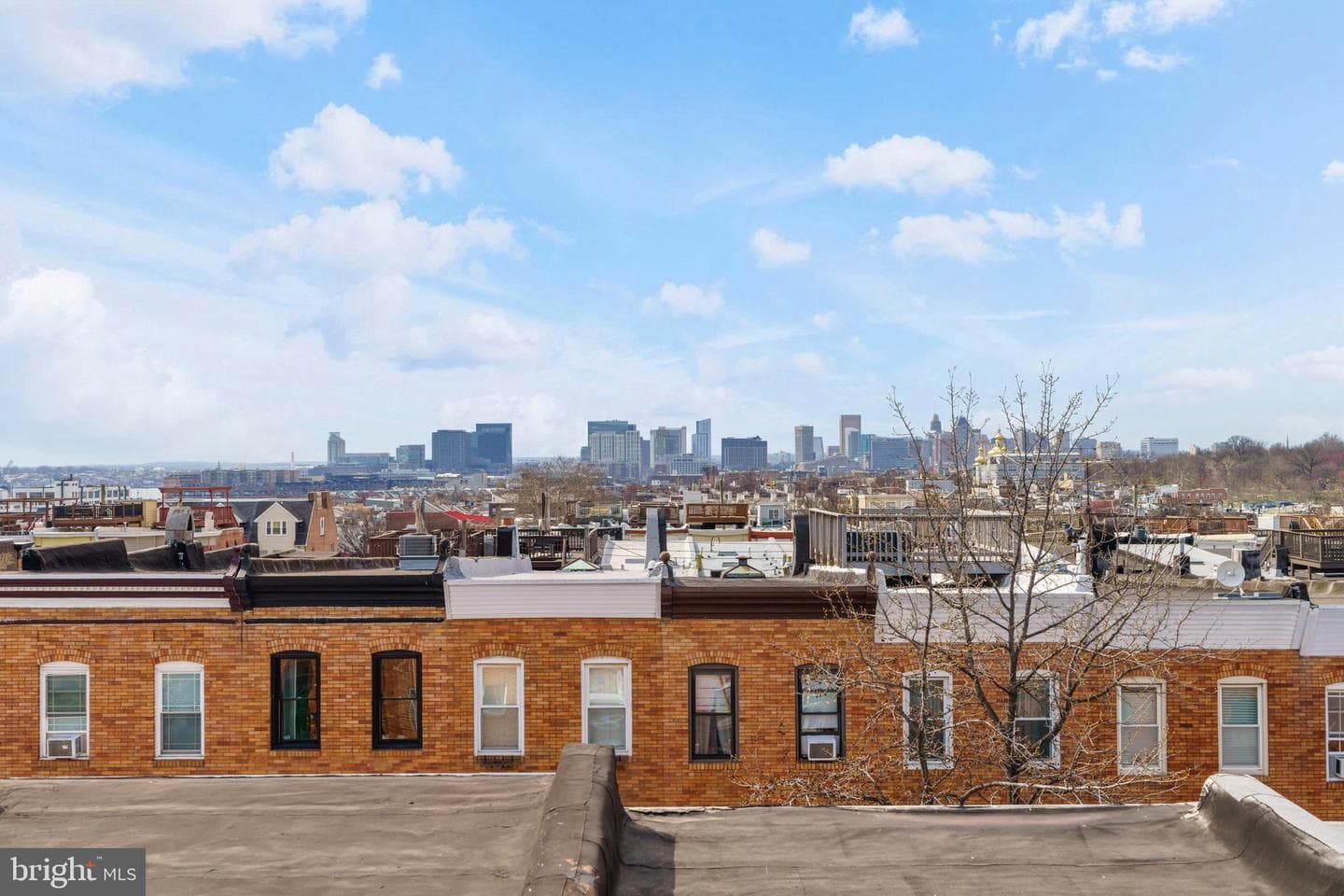 643 S Curley Street photo 31