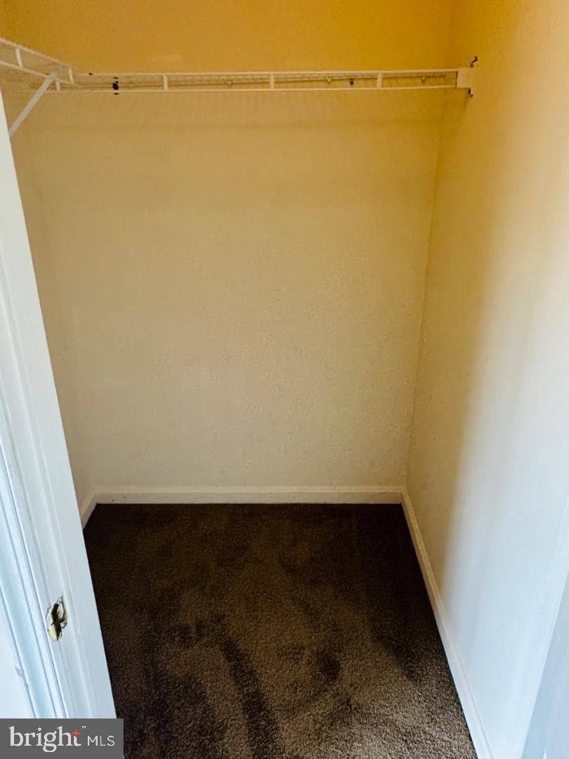 Md photo 15
