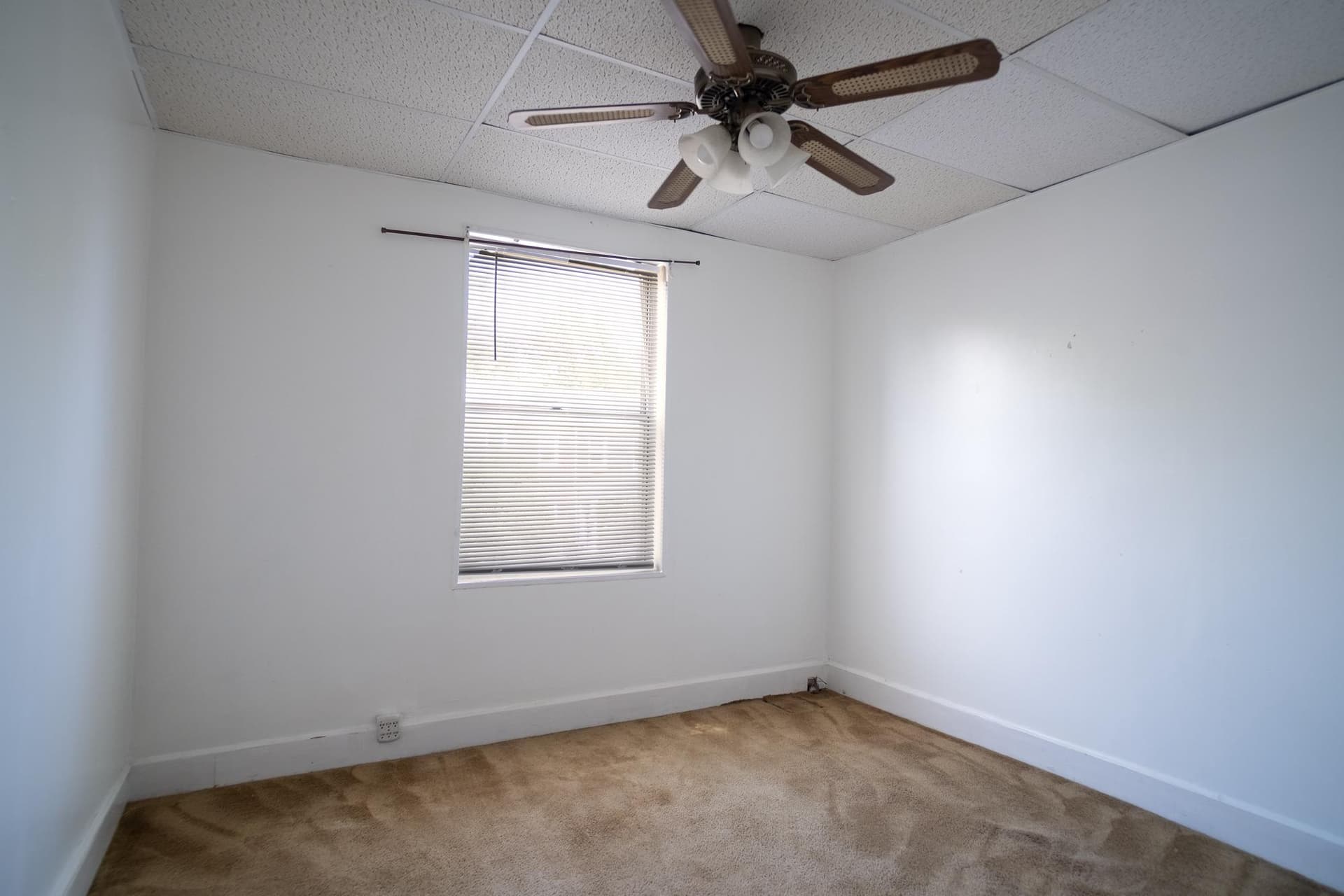 413 Rosecroft Terrace photo 13