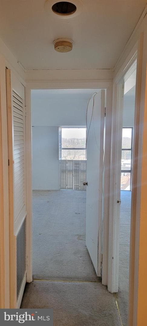 6606 Park Heights Avenue #805 photo 17