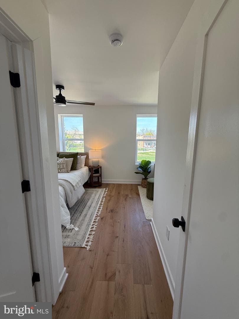 3435 Dupont Avenue photo 59