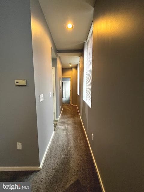 1211 Light Street #309 photo 13