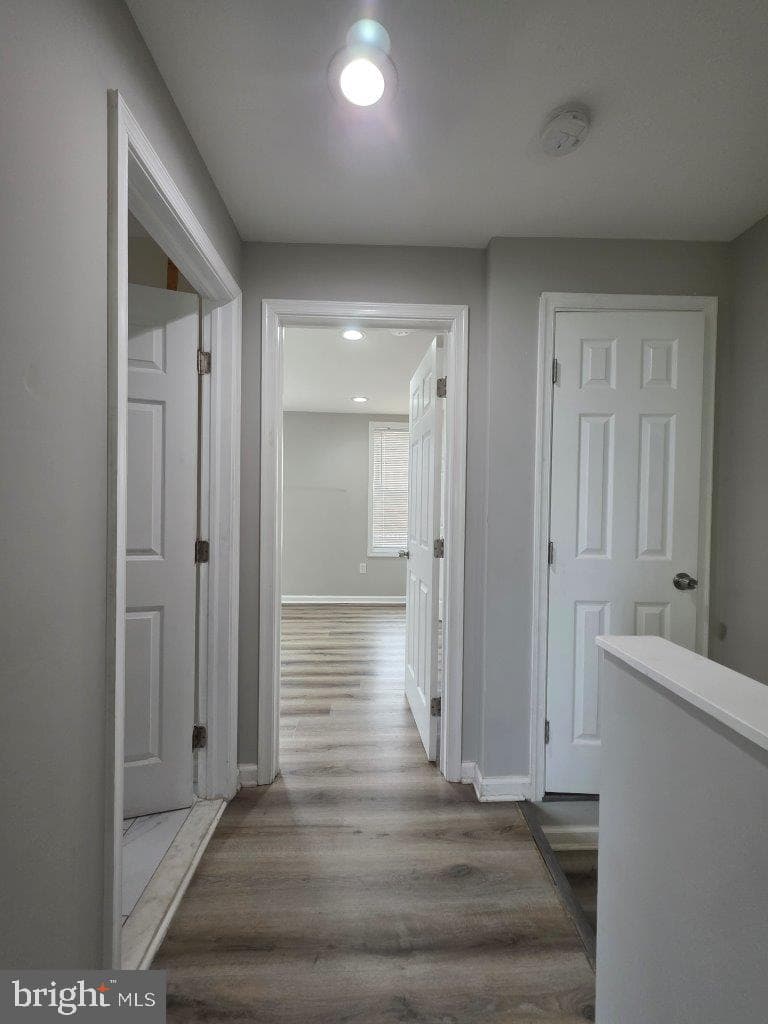 3343 Elmora Avenue photo 7