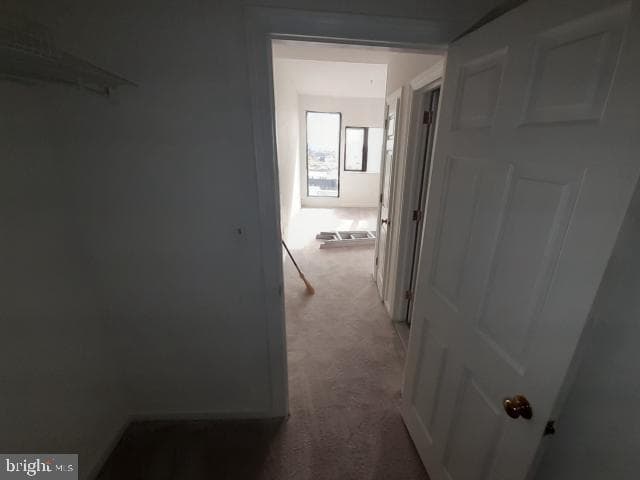 10 E Lee Street #1002-1003 photo 29