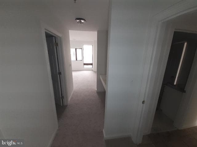10 E Lee Street #1002-1003 photo 35