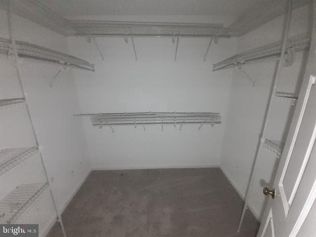 10 E Lee Street #1002-1003 photo 39