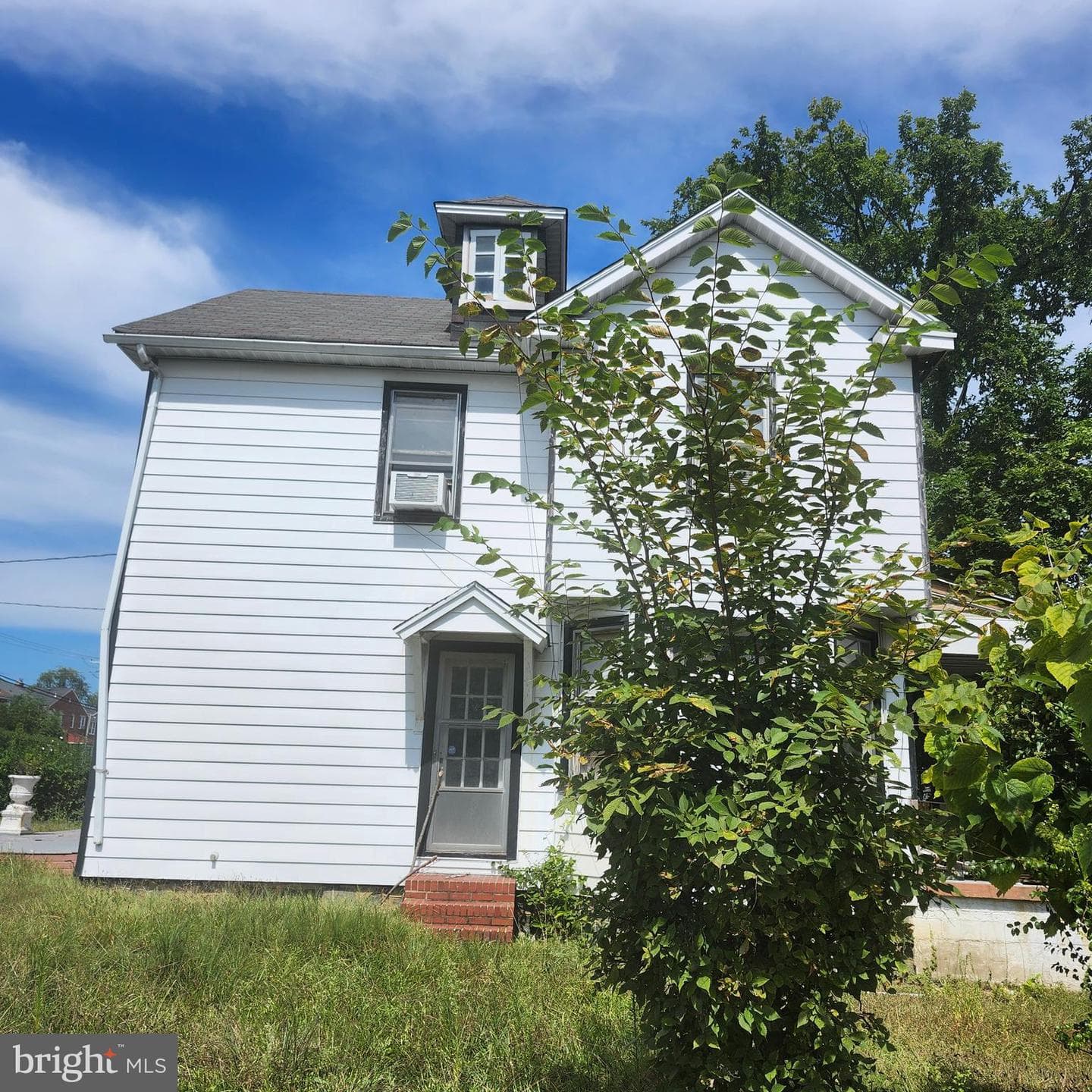 905 Cooks Lane photo 19