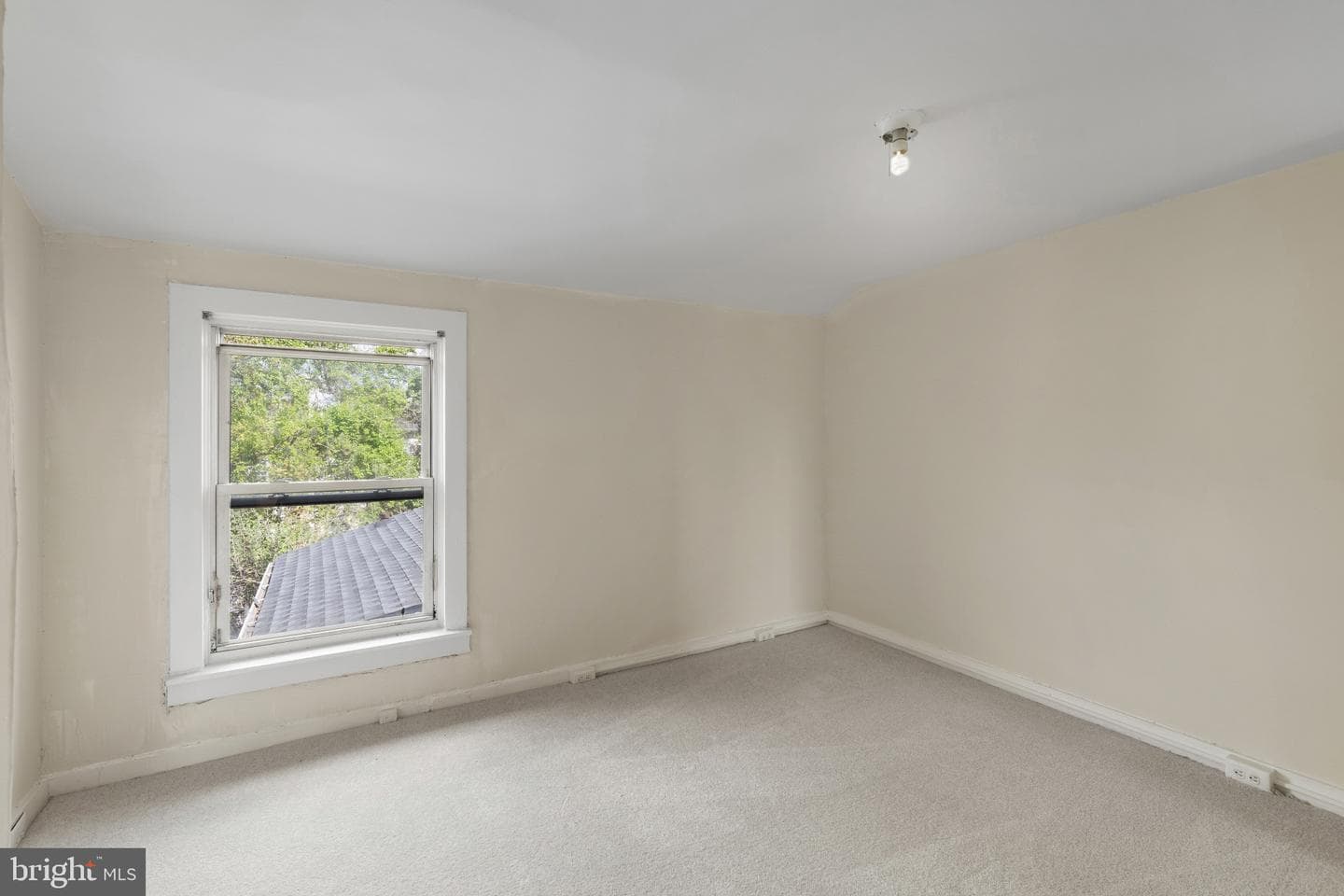 119 Poppleton Street S photo 23
