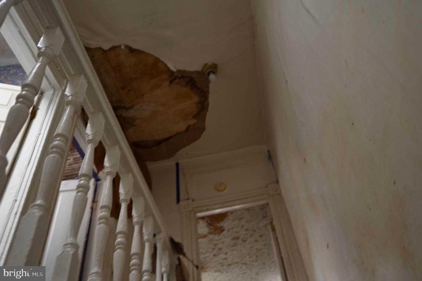 2509 Hollins Street photo 9