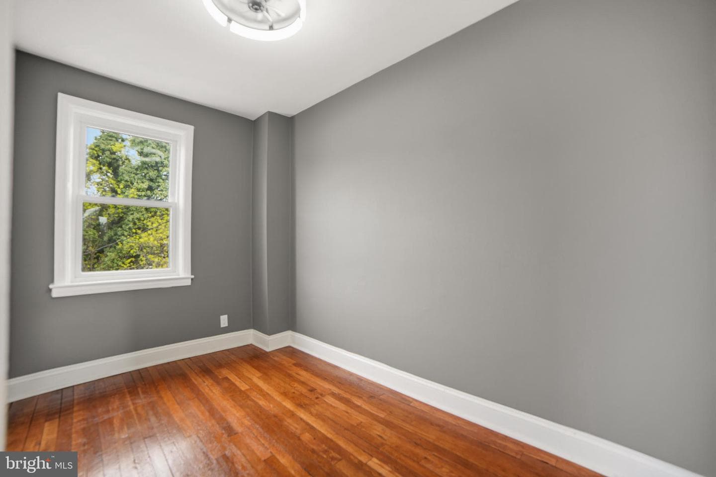 4434 Manorview Road photo 17