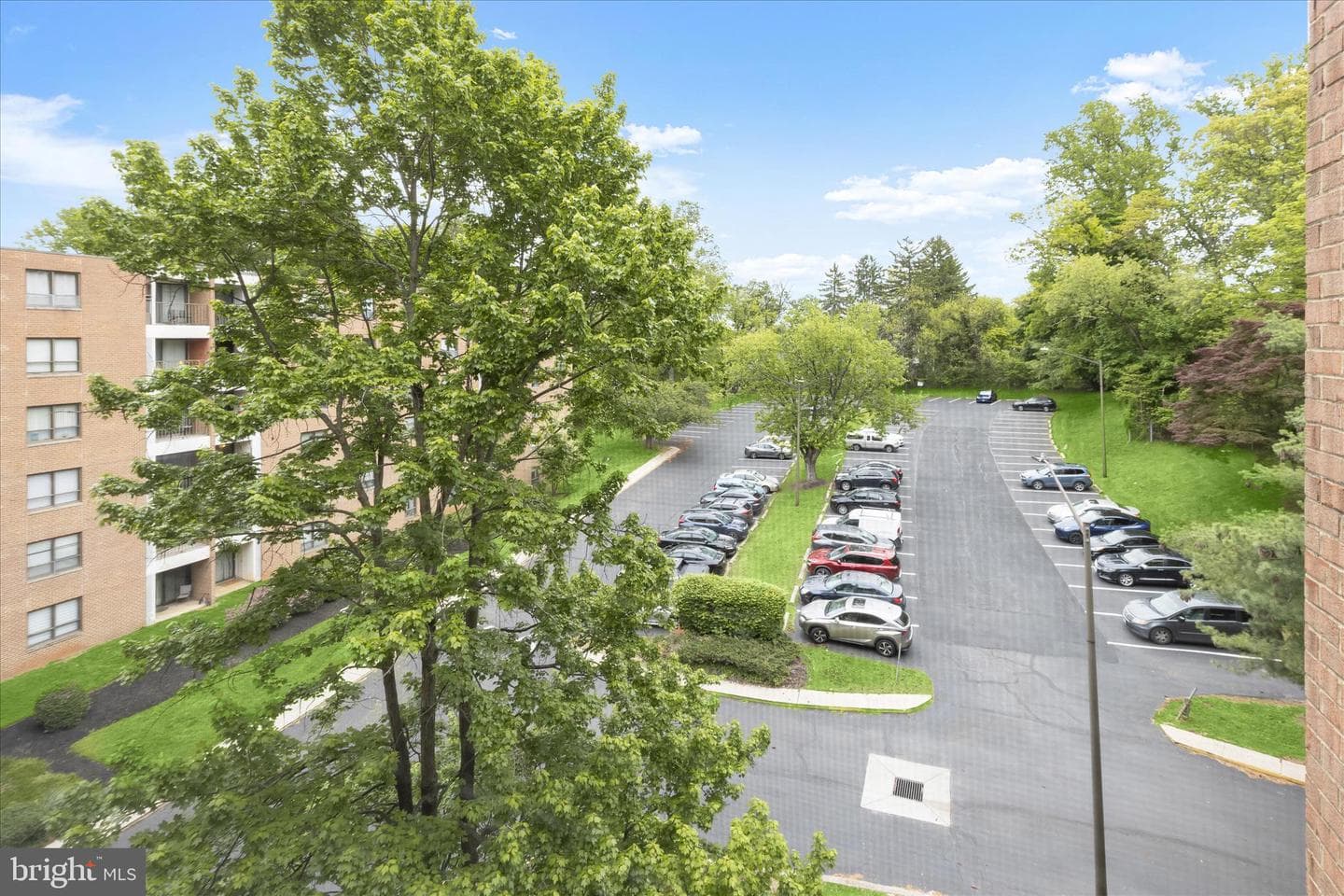6317 Park Heights Avenue #521 photo 31