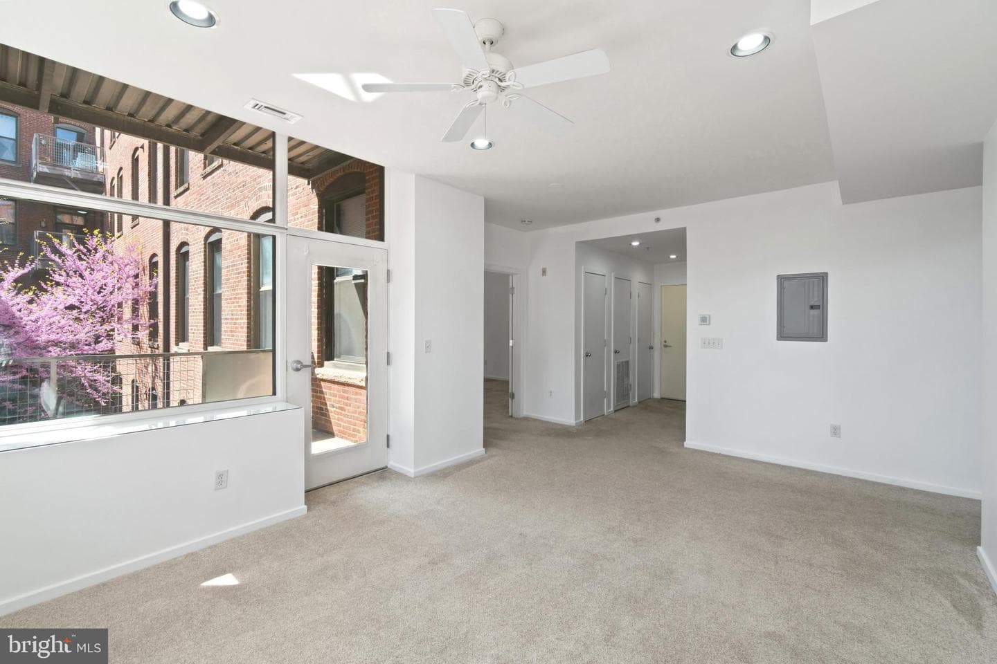 1211 Light Street #211 photo 10