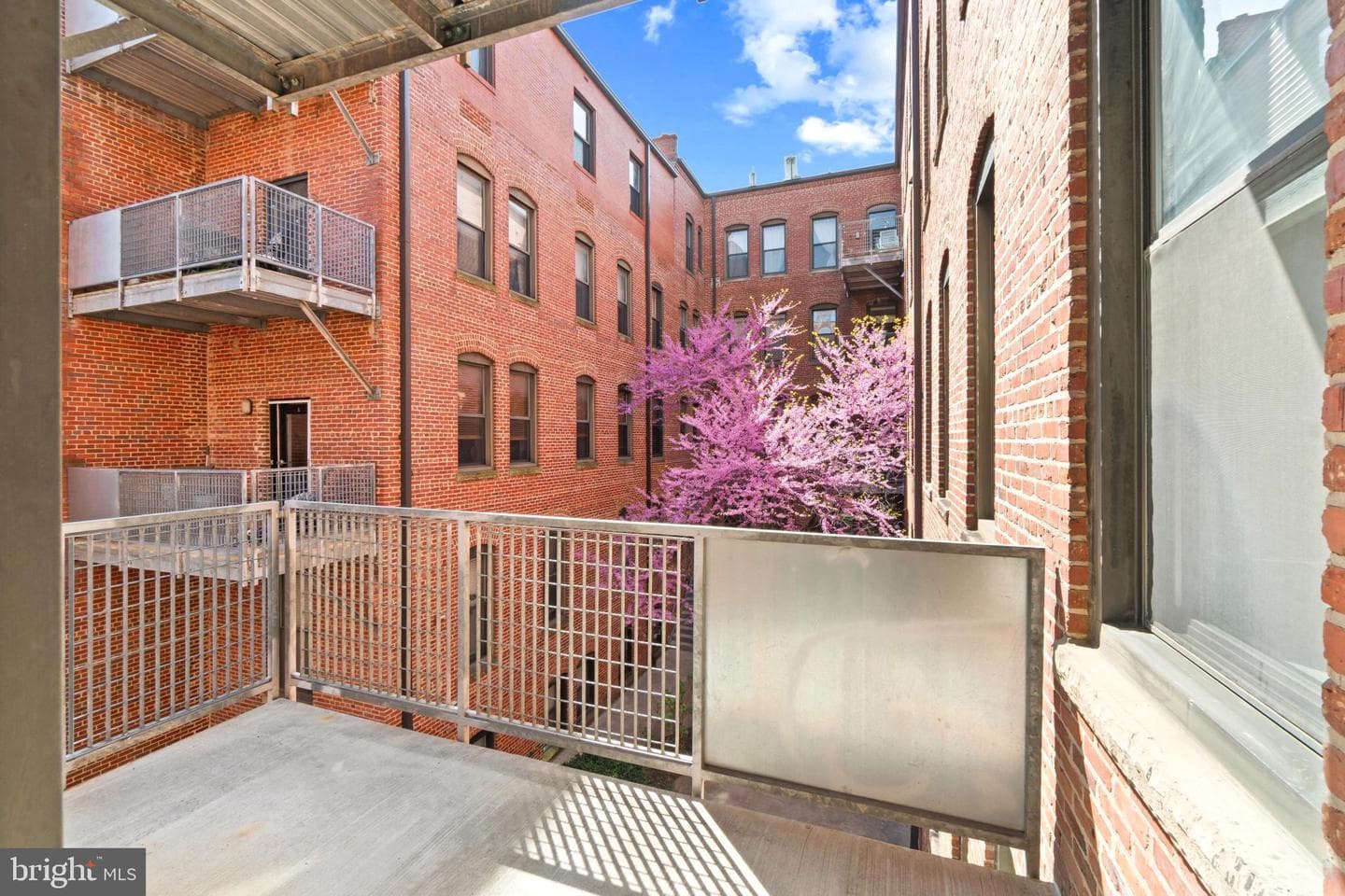 1211 Light Street #211 photo 13