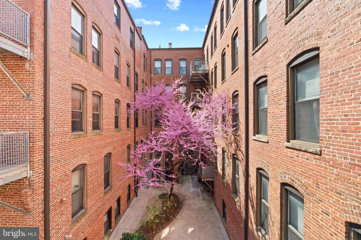 1211 Light Street #211 photo 16