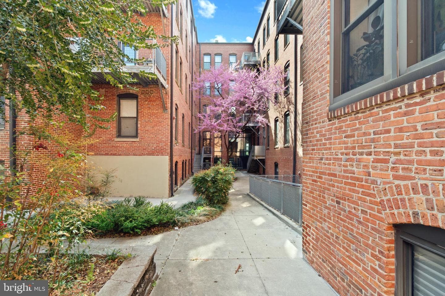 1211 Light Street #211 photo 34