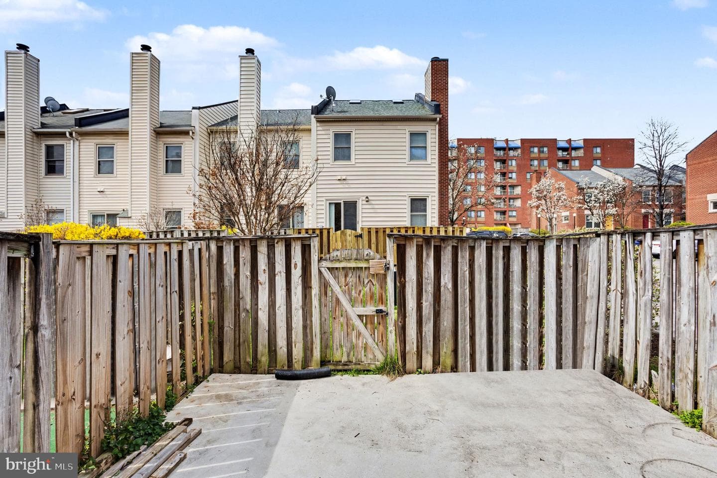 216 Scott Street photo 26