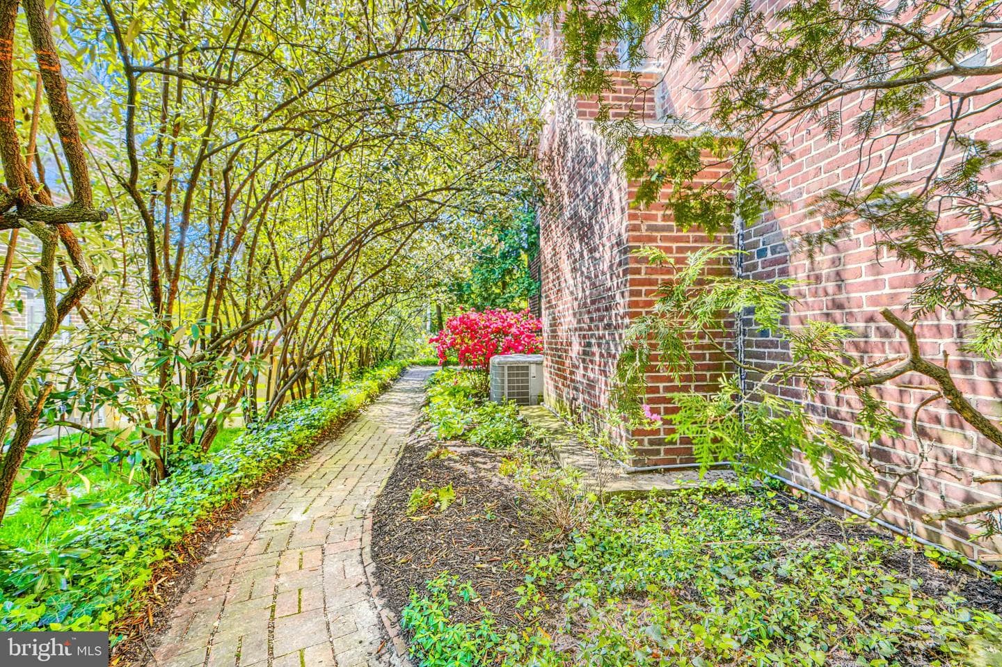 308 Woodbourne Avenue photo 45