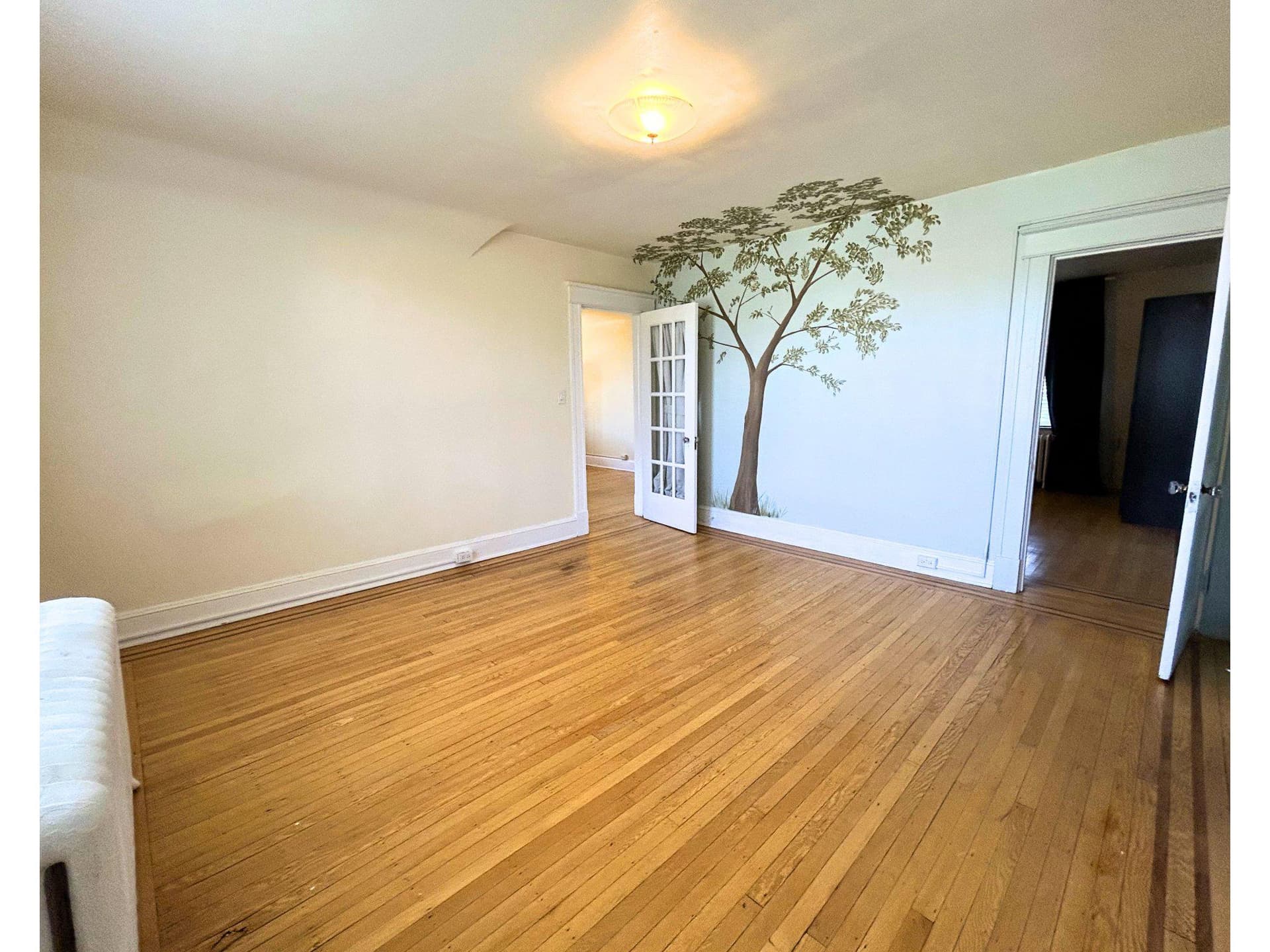 401 E Lake Avenue photo 17