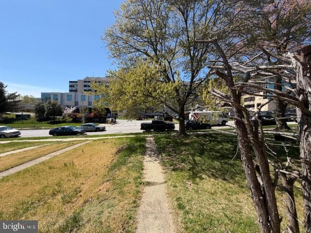 1536 E Belvedere Avenue photo 4