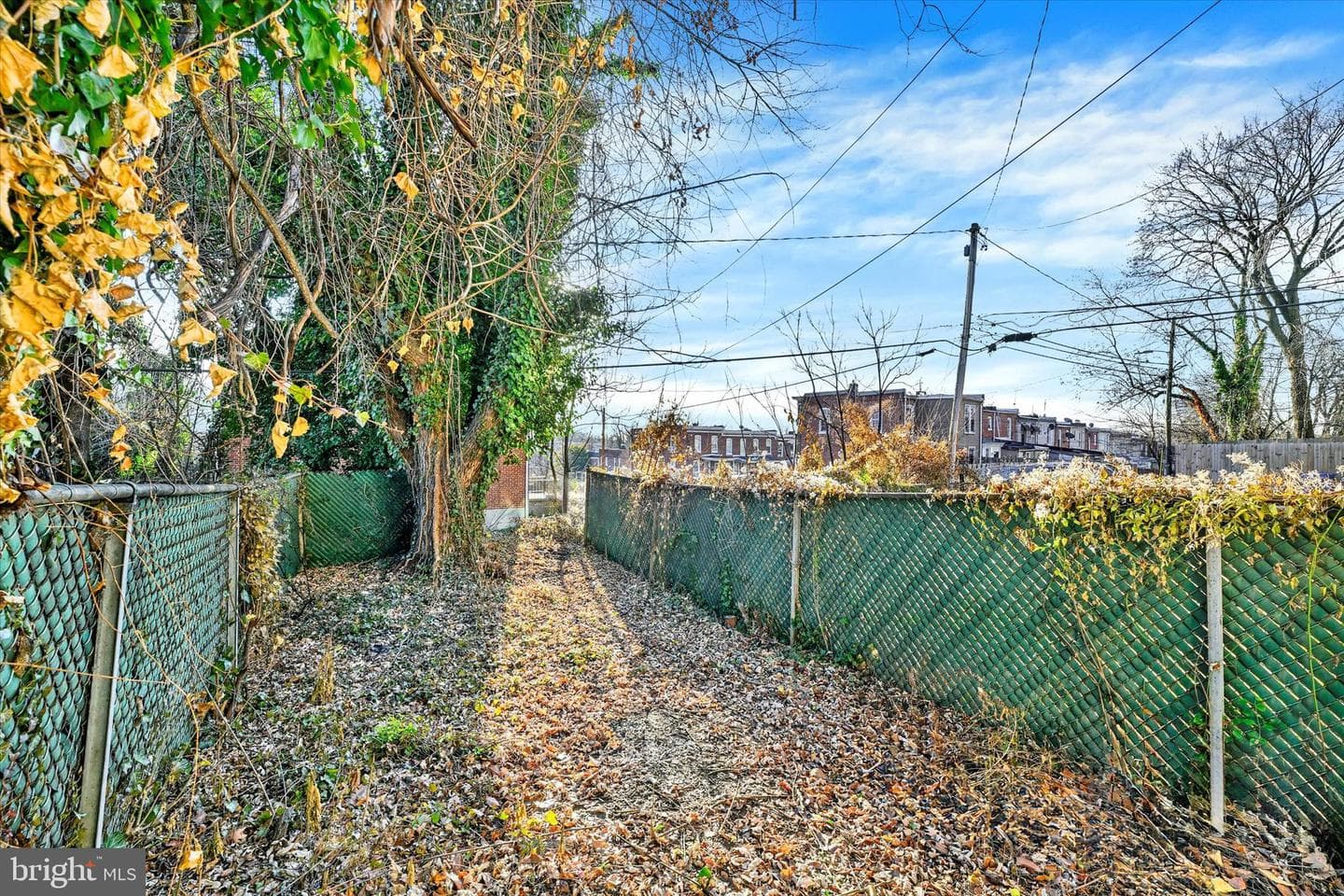 3105 Frisby Street photo 22