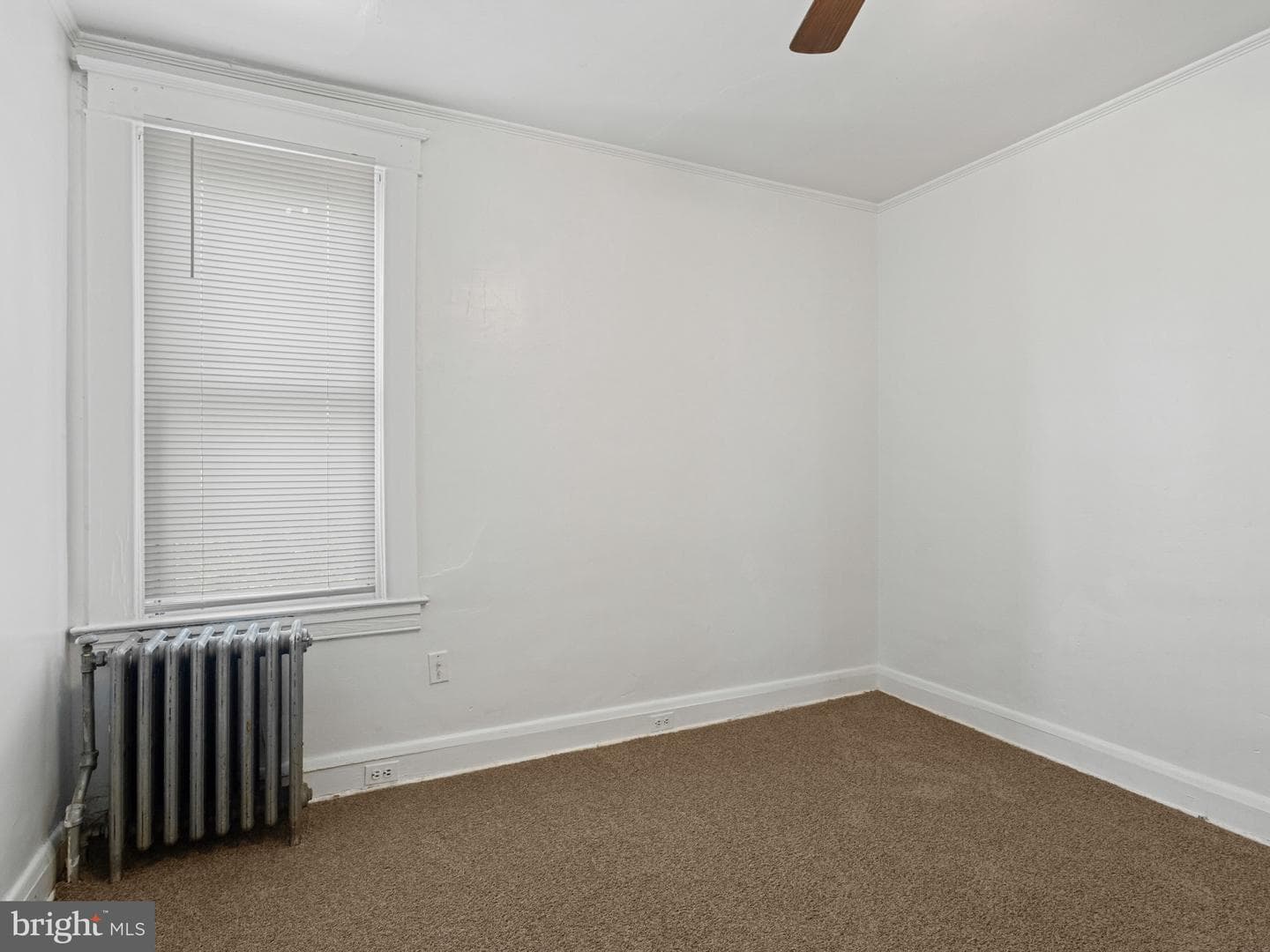 4405 Kavon Avenue photo 19