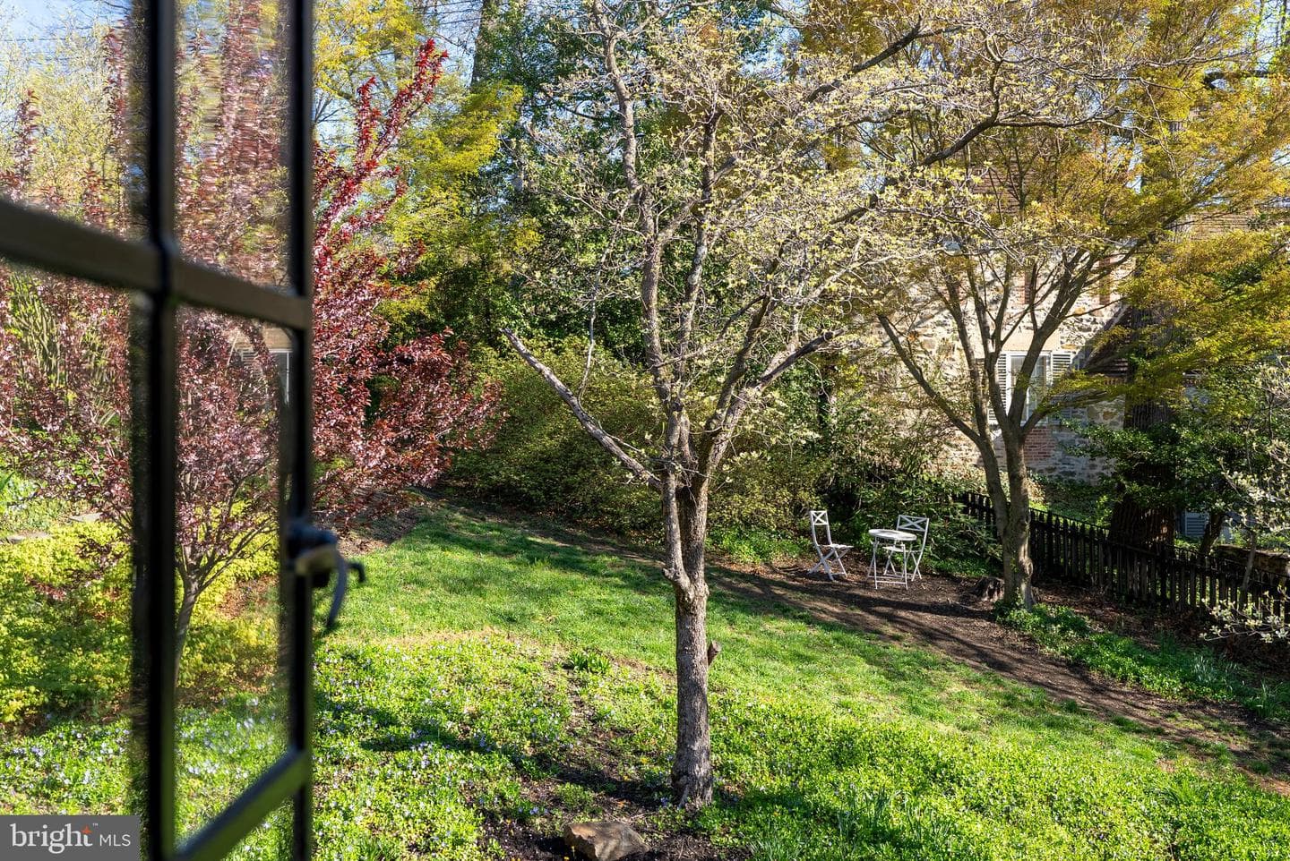 224 Tunbridge Road photo 39