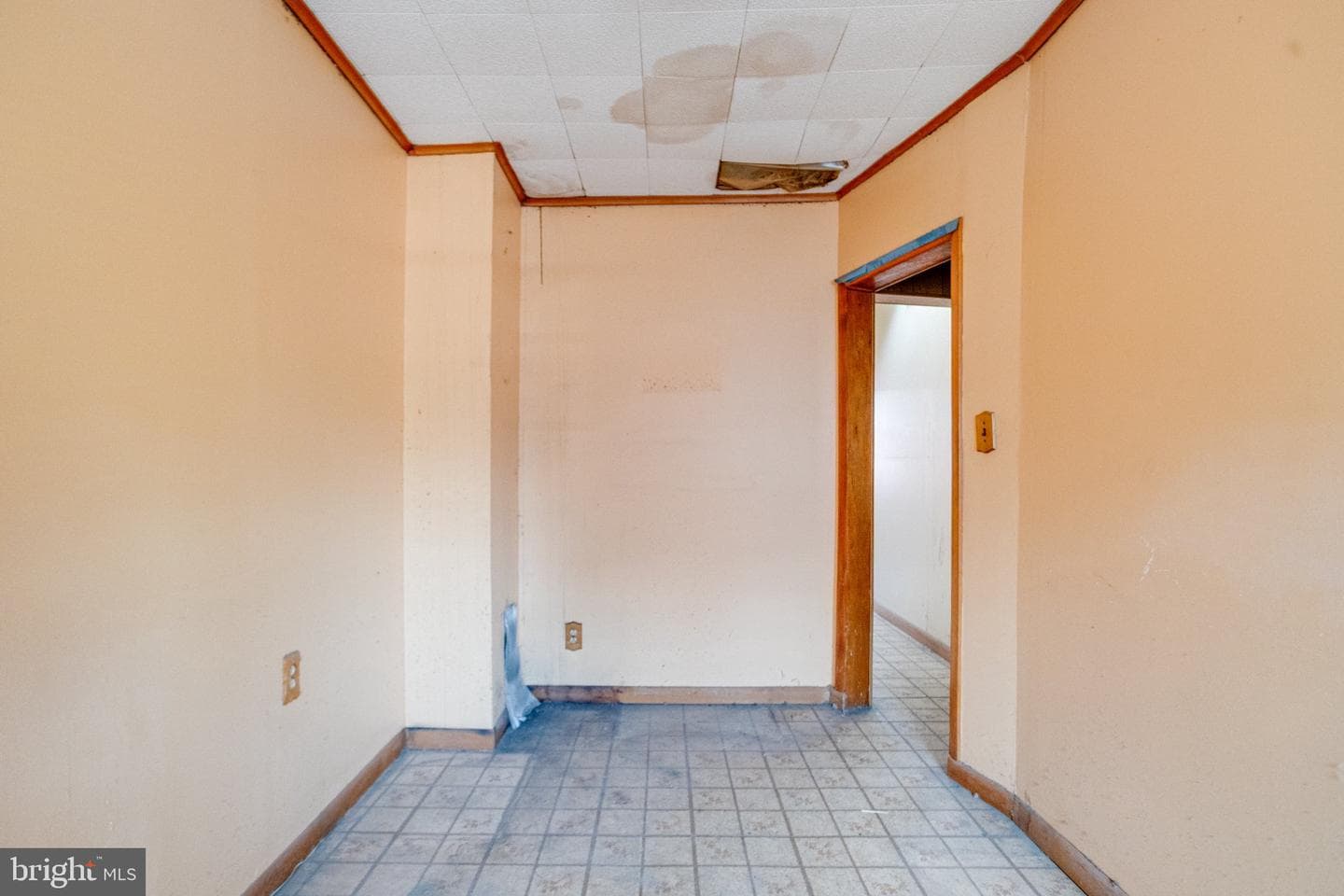 38 S Curley Street photo 33
