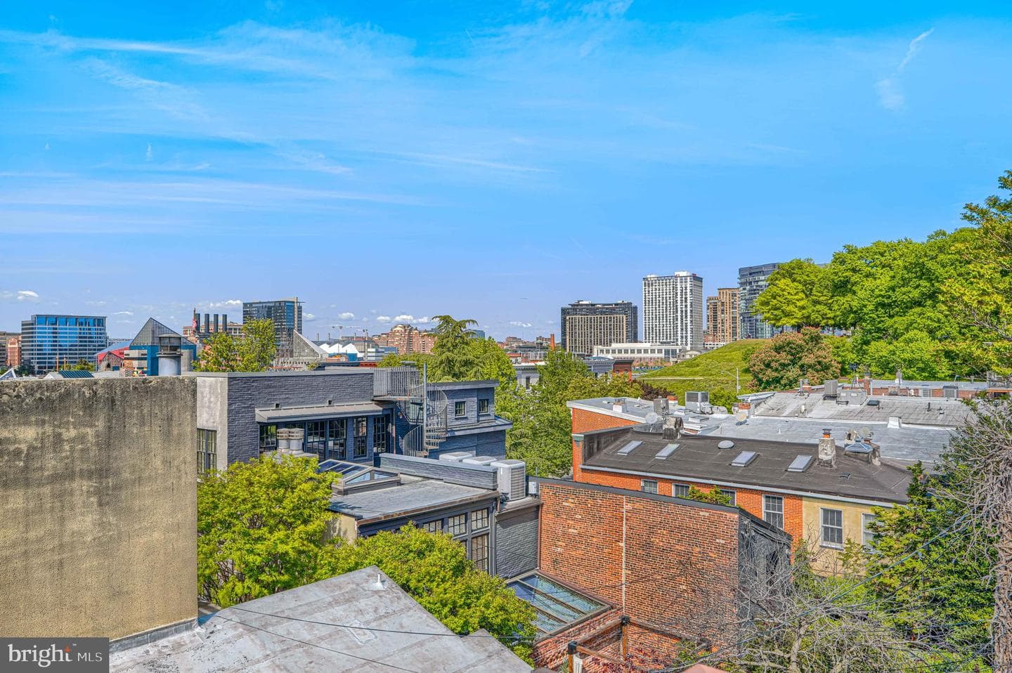 811 William Street photo 39