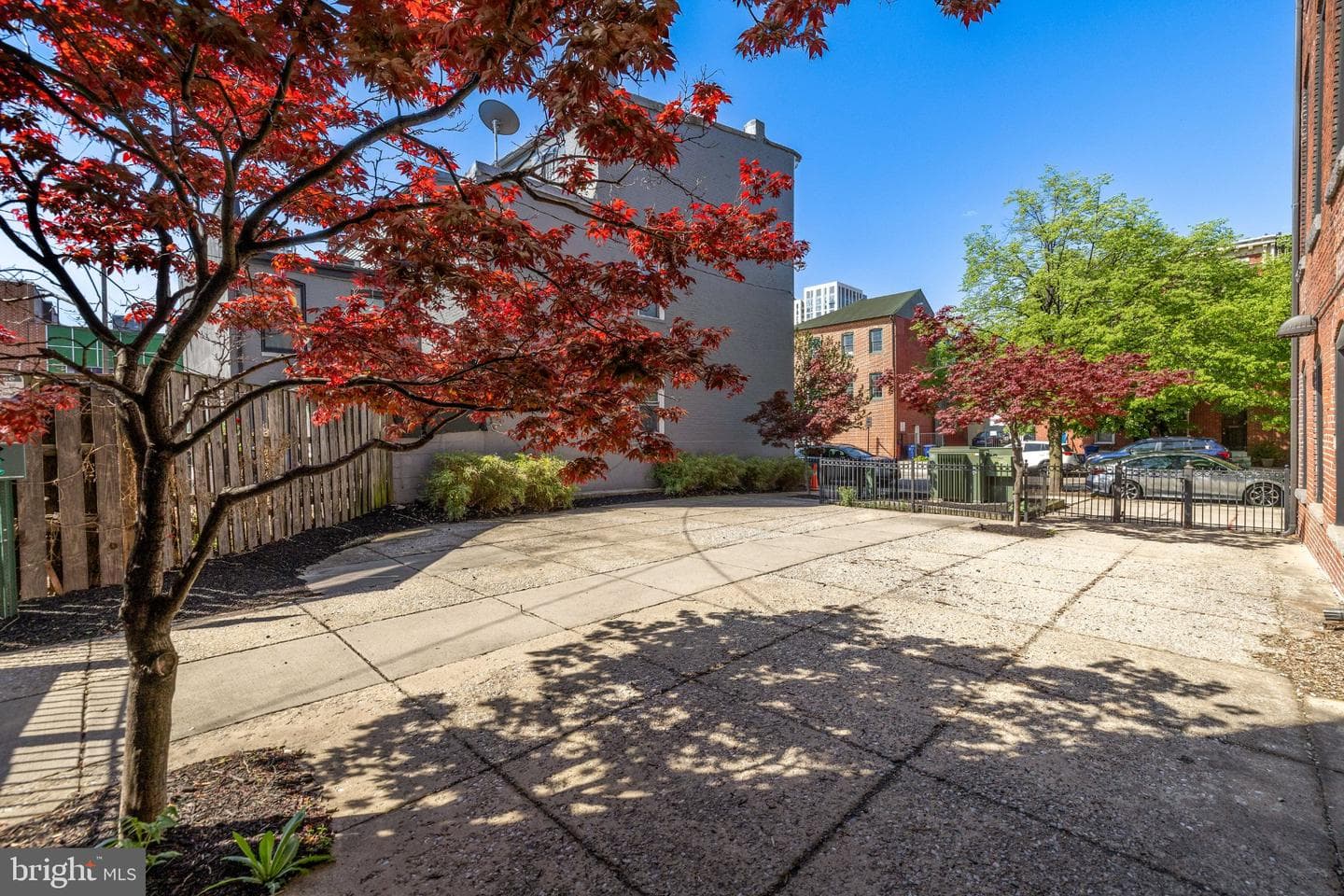 511 S Bond Street #302 photo 22