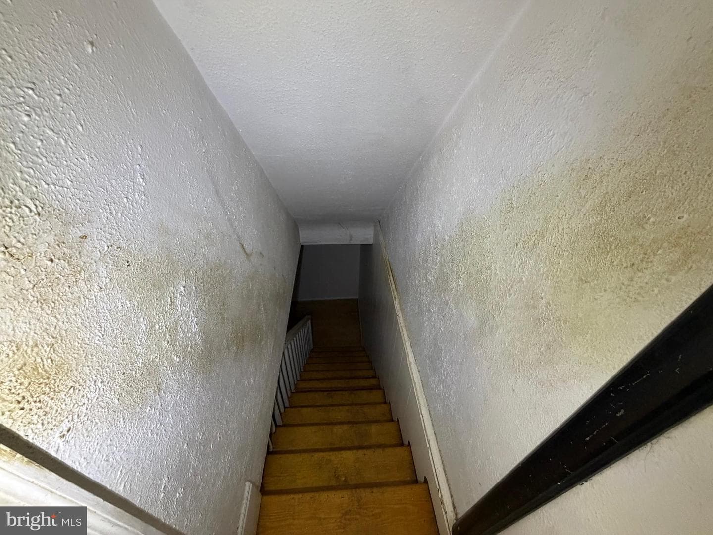3514 White Chapel Road photo 35