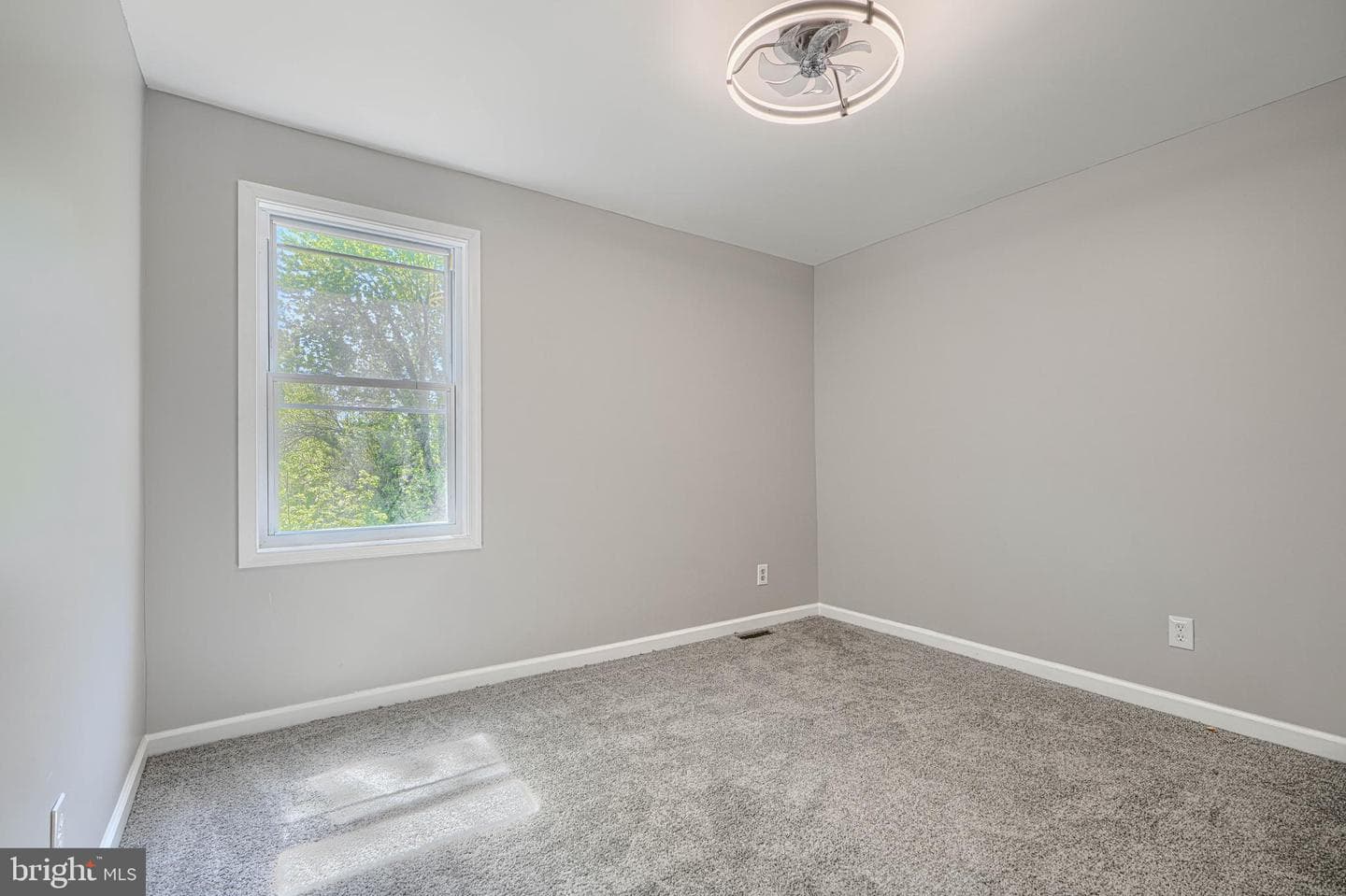5423 Remmell Avenue photo 32