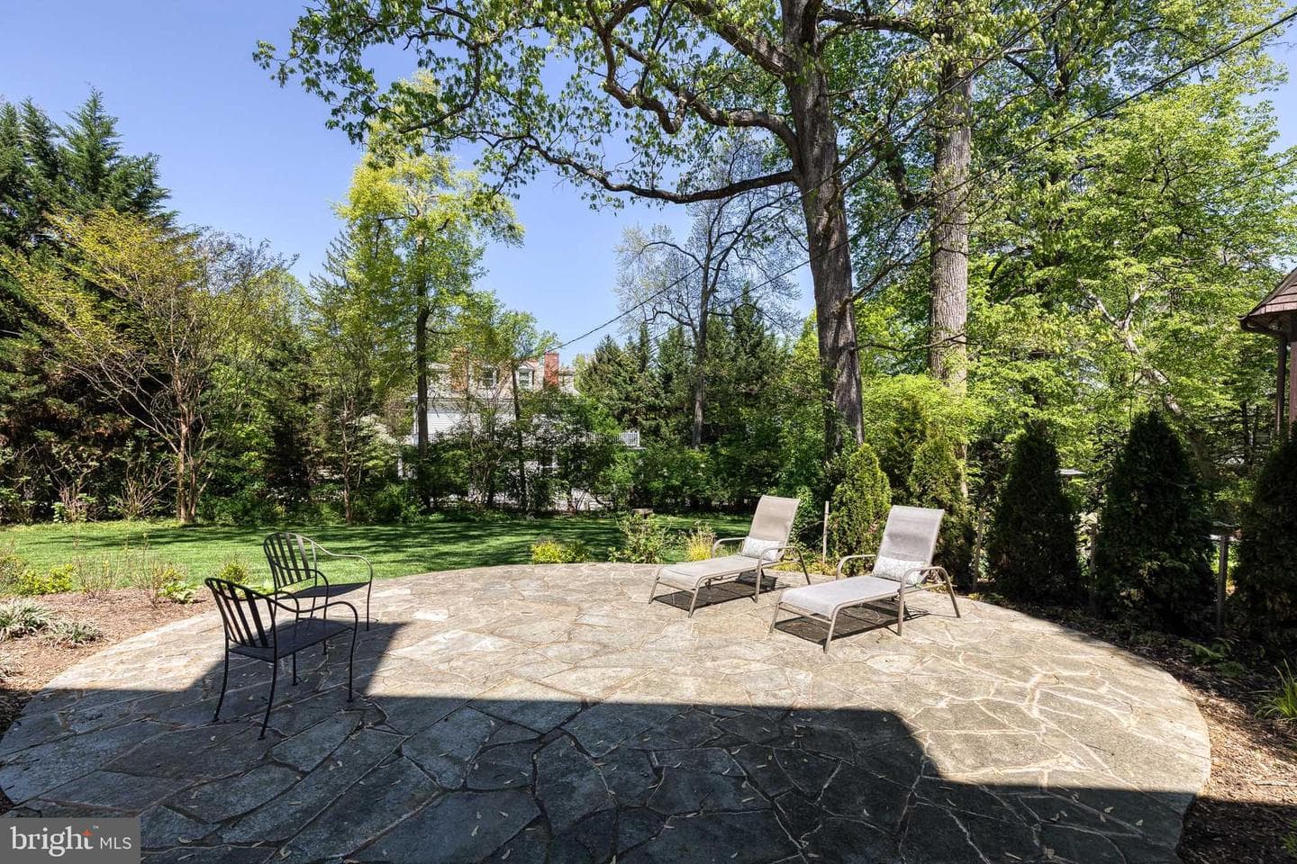 501 Woodlawn Road photo 59