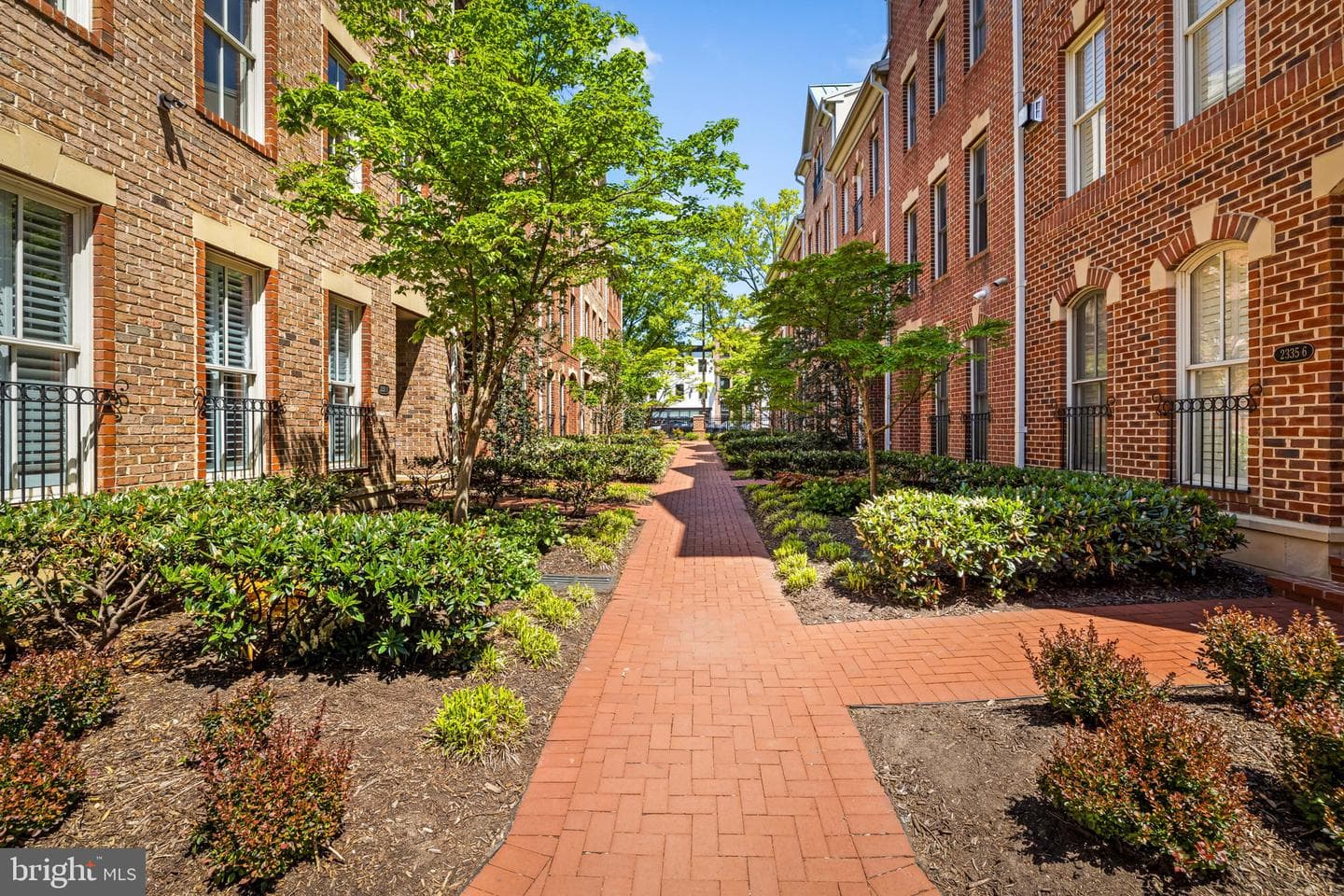 2331 Boston Street #1 photo 7