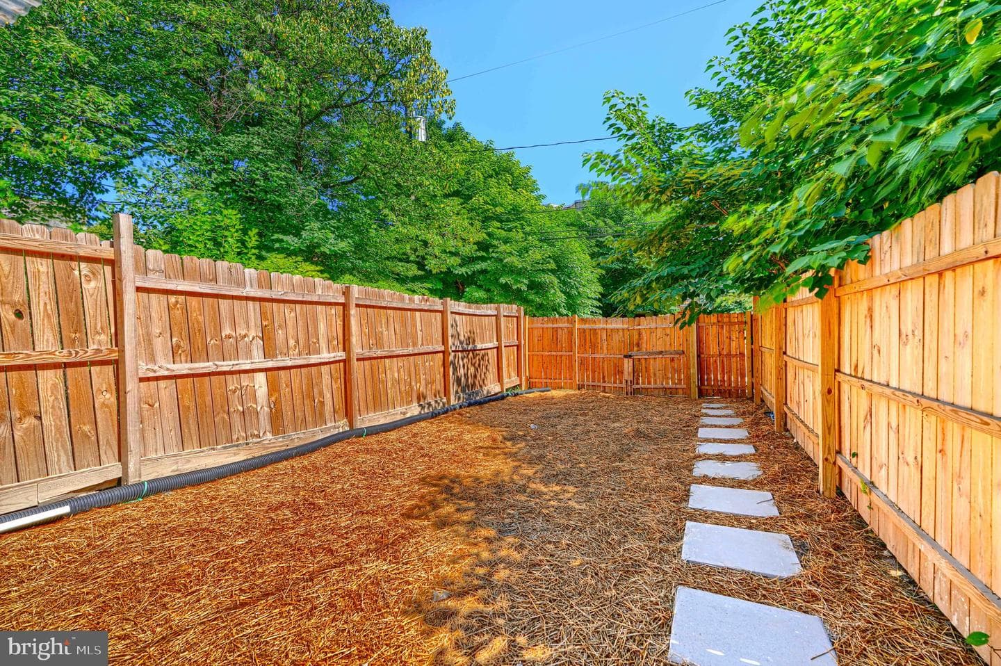 1827 Druid Hill Avenue photo 45